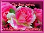 Олечка Новікова фотография #47 (источник - https://vk.com/id152682009)