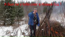 Фотография Виноградова Александра