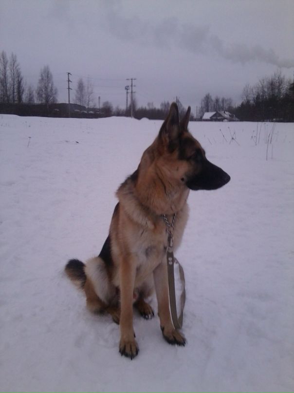 Андрей Кубышкин фотография #42