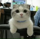 Фотография Клизы Каролины