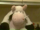 Фотография Мухаловой Ксении