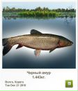 Ігор Микитин фотография #41 (источник - https://vk.com/id111819183)