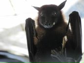 Фотография Германова Дмитрия