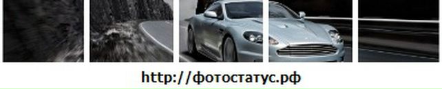 Нікіта Шевчук фотография #7 (источник - https://vk.com/id139010004)