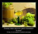 Андрій Шевчишин фотография #24 (источник - https://vk.com/id67460602)