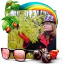 Фотография Аверин Егор