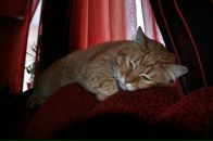 Юрій Шекель фотография #38 (источник - https://vk.com/id16928295)