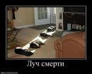 Фотография Колесника Александра