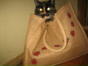 Марія Стасів фотография #19 (источник - https://vk.com/id116759213)