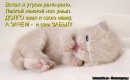 Андруся:)) Лозинська фотография #34 (источник - https://vk.com/id121655750)