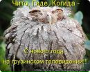 Андруся:)) Лозинська фотография #43 (источник - https://vk.com/id121655750)