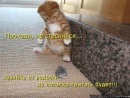 Андруся:)) Лозинська фотография #22 (источник - https://vk.com/id121655750)