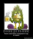 Фотография Митюгиной Ирины