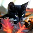 Фотография Поповой Натальи