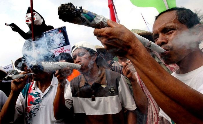 Саша Феолетов фотография #44