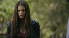 Elena Gilbert`овна фотография #6 (источник - https://vk.com/id121842293)