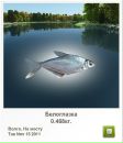 Софія Жук фотография #34 (источник - https://vk.com/id116044644)
