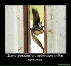 Тетяна Алєксандрова фотография #40 (источник - https://vk.com/id10524297)