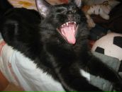 Фотография Мельниковой Анны