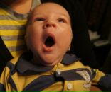 Фотография Коваленко Александра