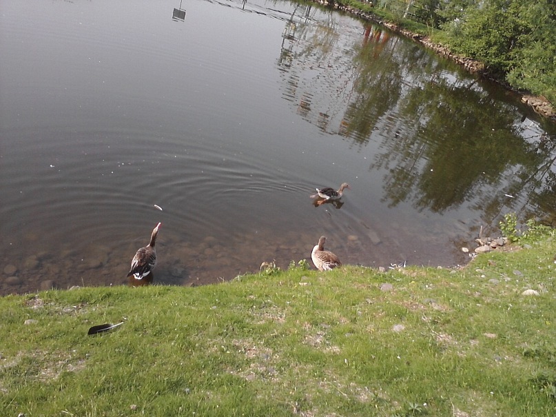 Дмитрий Иост фотография #32