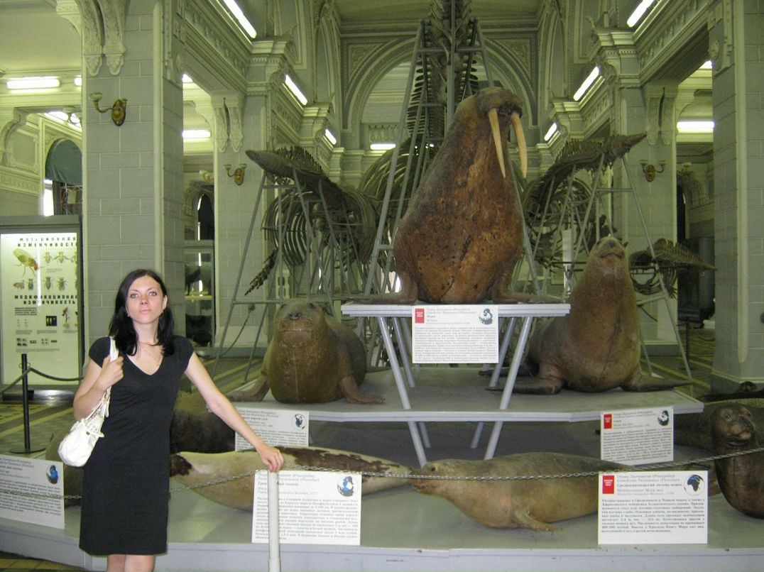 Аня Строколис фотография #18