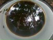 Фотография Воронцова Юрия