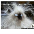 Софія Жук фотография #14 (источник - https://vk.com/id116044644)