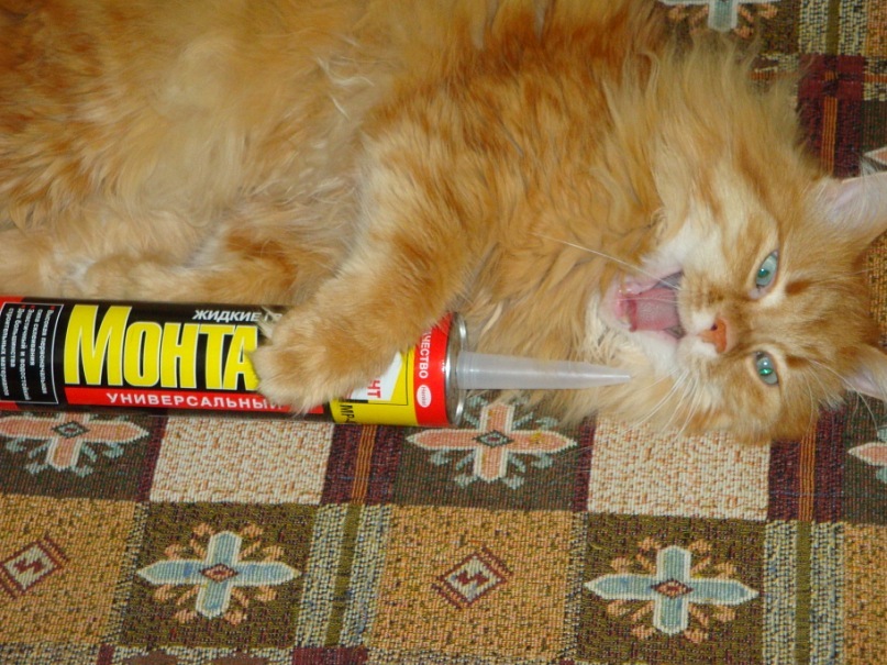 Сергей Лебедев фотография #49