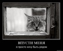 Наталя Зубаркіна фотография #29 (источник - https://vk.com/id39727833)