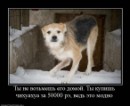Наталя Зубаркіна фотография #35 (источник - https://vk.com/id39727833)