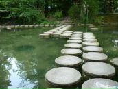 Сергій Сачок фотография #24 (источник - https://vk.com/id6720686)