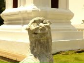 Фотография Балтыбаева Евгения