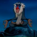 Фотография Елагина Ильи