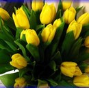 Юрій Гнатенко фотография #42 (источник - https://vk.com/id157707344)