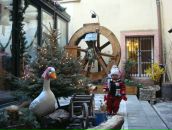 Валентина Новоселецкая фотография #39 (источник - https://vk.com/id347608)